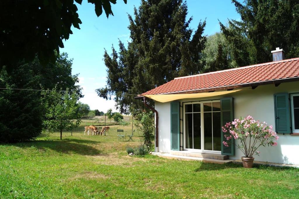 Idylisches Cottage Mit Reh 韦尔策 外观 照片