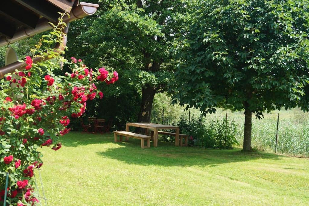 Idylisches Cottage Mit Reh 韦尔策 外观 照片